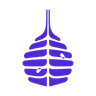 ArkHive
